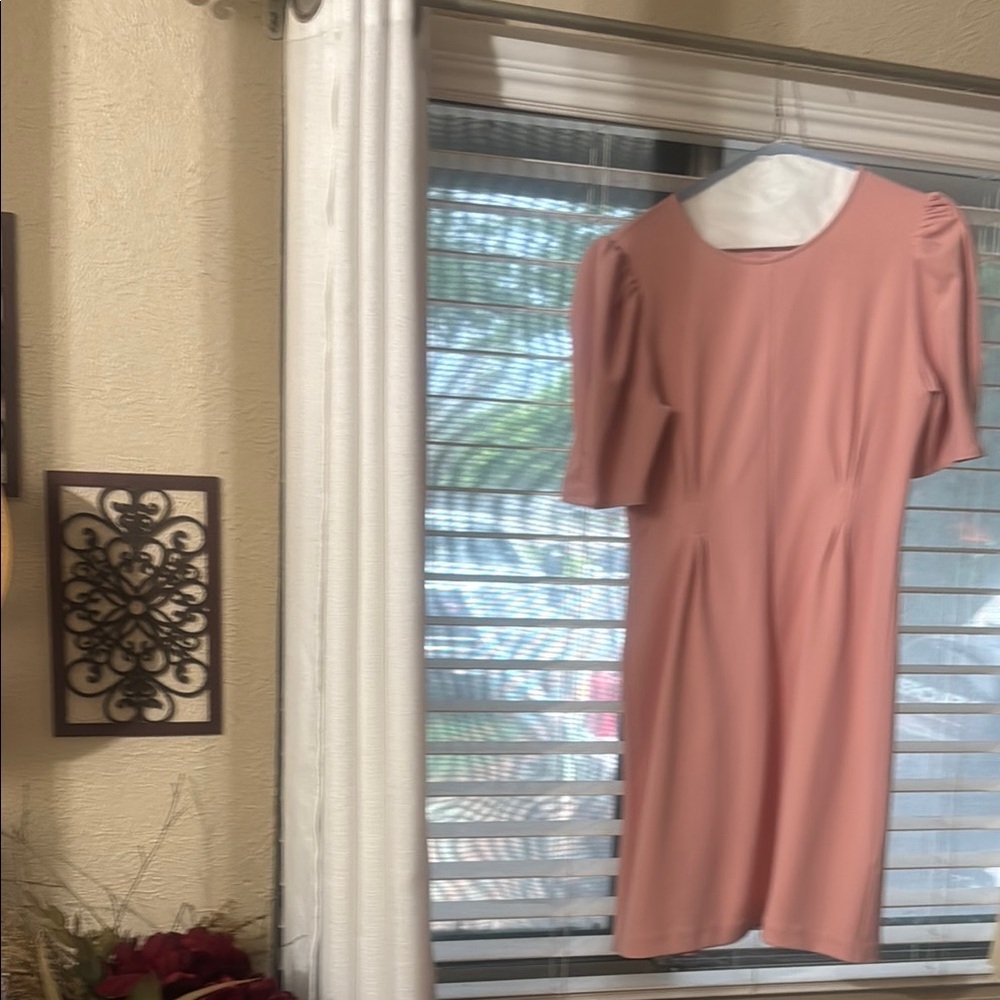 Express Dusty Rose Midi Dress
